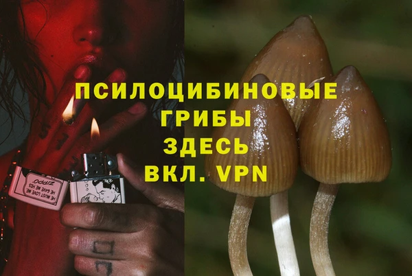 первитин Алексеевка