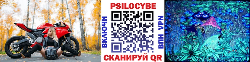 Псилоцибиновые грибы GOLDEN TEACHER  где продают   Кулебаки 