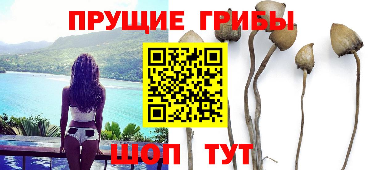 Кулебаки  Псилоцибиновые грибы мицелий  Галлюциногенные грибы ЛСД  Вход с VPN 